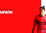 开云体育直播-沃尔夫斯堡官方宣布签下意大利国脚的简单介绍