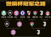 开云在线直播-法国队全面压制比利时队，晋级国际挑战者杯四强的简单介绍