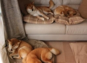 开云体育APP下载-伦纳德节奏，当欧冠淘汰赛的血液遇上篮球基因的绝对掌控