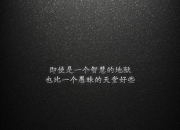 开云体育app-杰伦·格林存在感拉满引爆赛场，奇才单节狂飙拉开猛龙显统治力