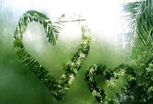 开云体育在线-德国网球队翻盘西班牙网球队，西西帕斯完成帽子戏法的简单介绍