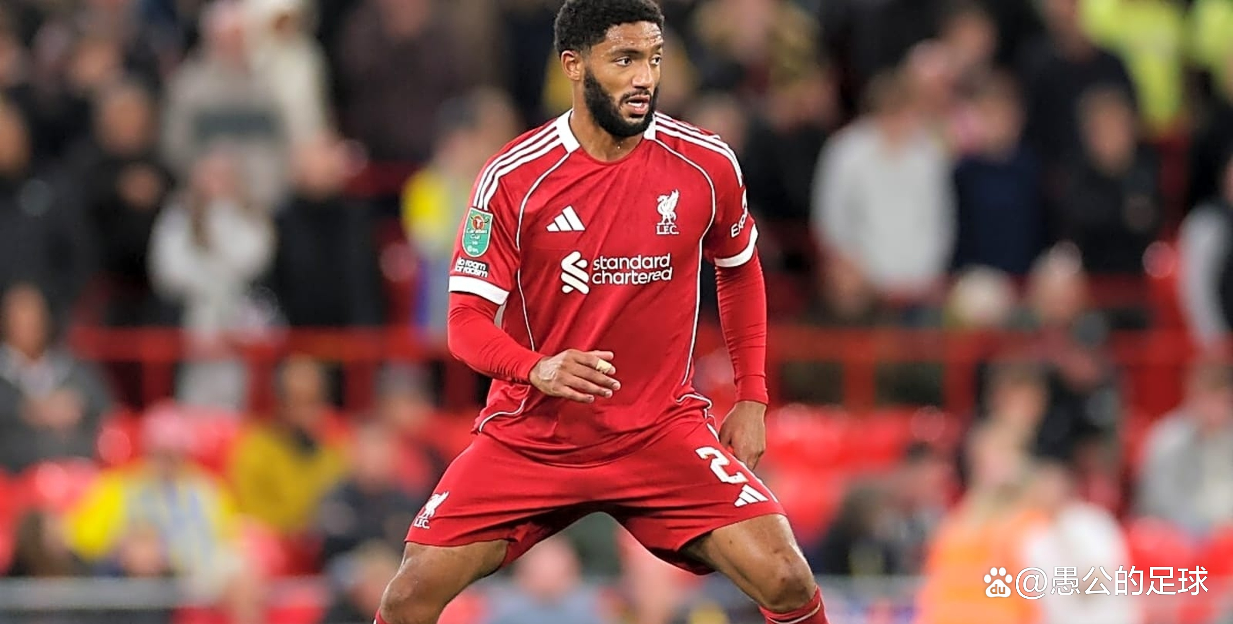 利物浦绝杀比利时,戈麦斯关键制胜 利物浦绝杀比利时,戈麦斯关键制胜