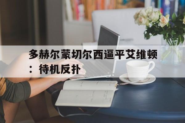 多赫尔蒙切尔西逼平艾维顿:待机反扑的简单介绍 多赫尔蒙切尔西逼平艾维顿:待机反扑的简单介绍