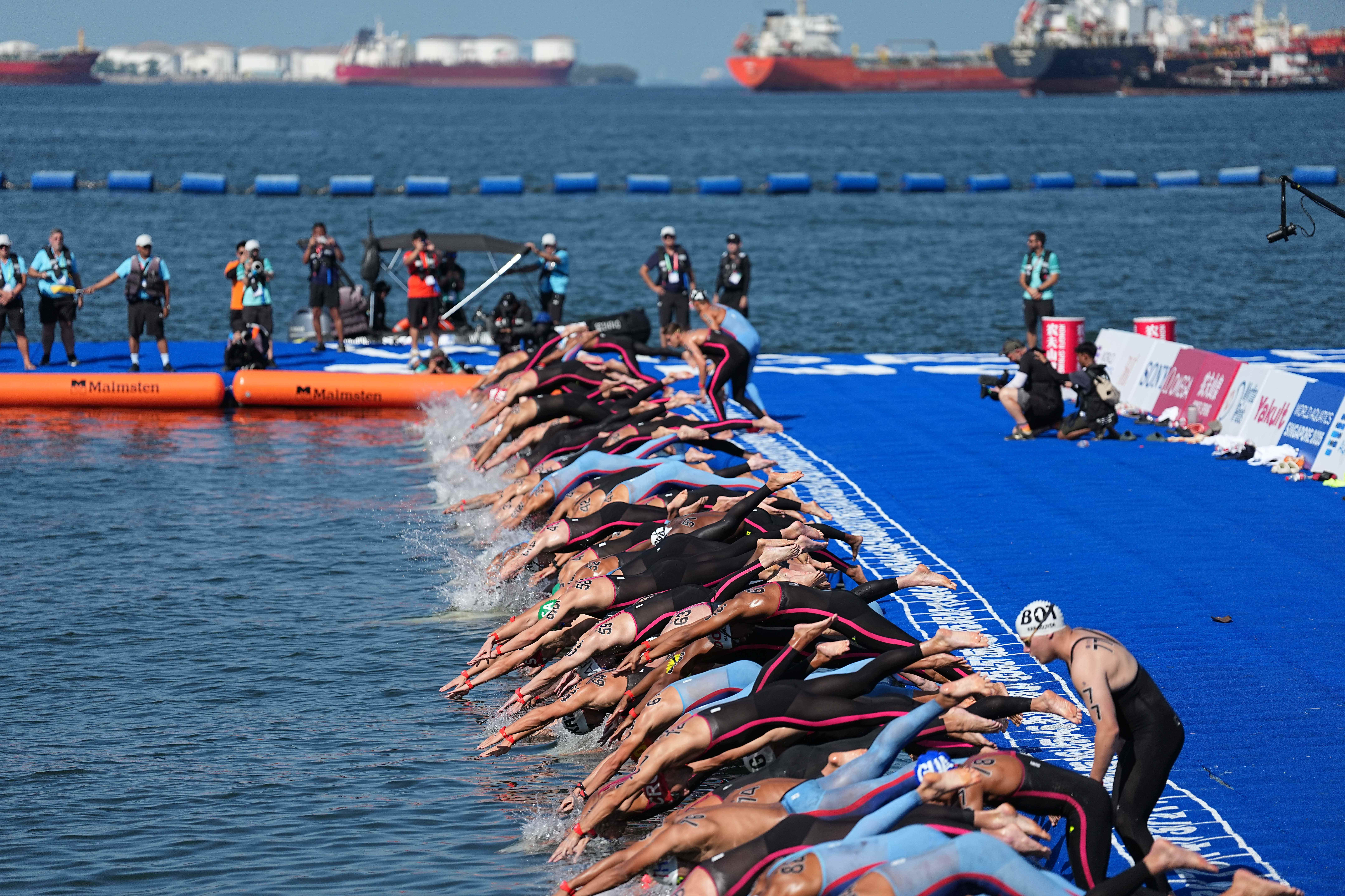 游泳项目强势表现，刷新世界纪录