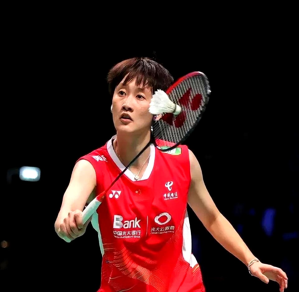 包含韩国队逆转马来西亚队，陈雨菲统治全场的词条