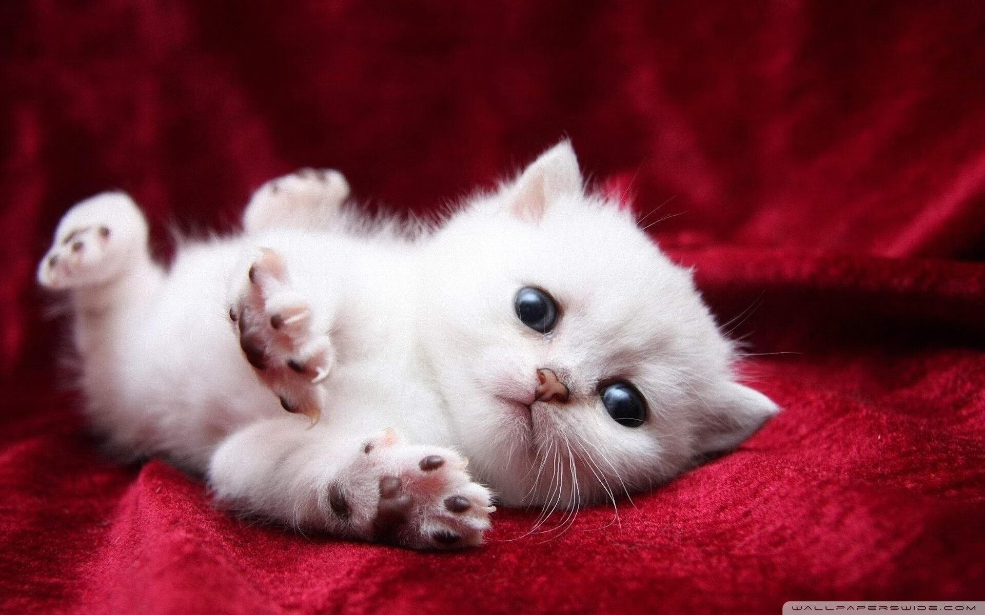 统治级防线，富安健洋在欧冠决赛之夜的封神之战